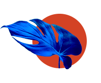 Dia do Dentista — Contraste 2026